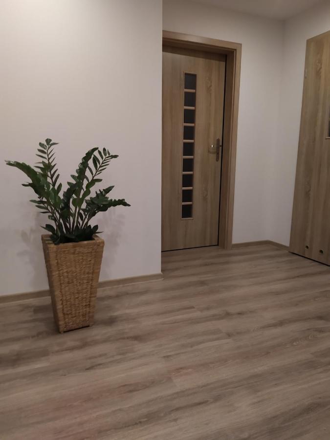 Apartament Kaola Еленя-Гура Экстерьер фото